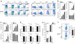 CD25 Antibody in Flow Cytometry (Flow)