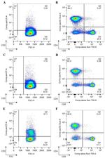 CD11c Antibody in Flow Cytometry (Flow)