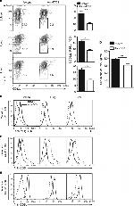 CD62L (L-Selectin) Antibody in Flow Cytometry (Flow)