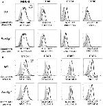 CD86 (B7-2) Antibody in Flow Cytometry (Flow)