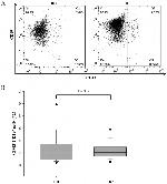 CD43 Antibody in Flow Cytometry (Flow)