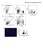 CD31 (PECAM-1) Antibody in Flow Cytometry (Flow)