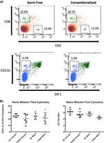 CD3 Antibody in Flow Cytometry (Flow)