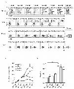 CD3 Antibody in Flow Cytometry (Flow)