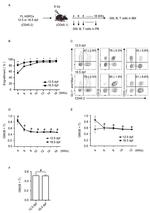 CD3 Antibody in Flow Cytometry (Flow)