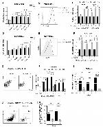 FOXP3 Antibody in Flow Cytometry (Flow)