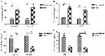 CD10 Antibody in ELISA (ELISA)