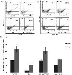 CD4 Antibody in Flow Cytometry (Flow)