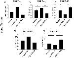 ROR gamma (t) Antibody in Flow Cytometry (Flow)