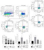 IL-17A Antibody in Flow Cytometry (Flow)