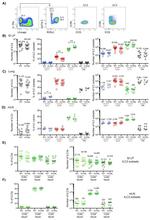 Gata-3 Antibody in Flow Cytometry (Flow)