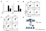 CD14 Antibody in Flow Cytometry (Flow)