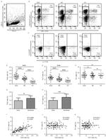 IFN gamma Antibody in Flow Cytometry (Flow)