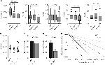 CD117 (c-Kit) Antibody in Flow Cytometry (Flow)