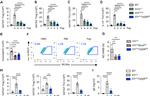 IL-13 Antibody in Flow Cytometry (Flow)