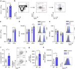 Ea52-68 peptide bound to I-Ab Antibody in Flow Cytometry (Flow)