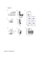 CD117 (c-Kit) Antibody in Flow Cytometry (Flow)