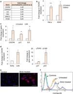 CXCR4 Antibody in Flow Cytometry (Flow)