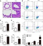 IL-17A Antibody in Flow Cytometry (Flow)