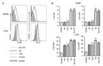 CD284 (TLR4) Antibody in Flow Cytometry (Flow)