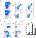 Ly-6A/E (Sca-1) Antibody in Flow Cytometry (Flow)