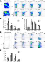 CD19 Antibody in Flow Cytometry (Flow)