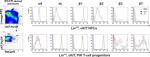 CD19 Antibody in Flow Cytometry (Flow)