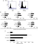 CD86 (B7-2) Antibody in Flow Cytometry (Flow)