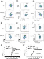 IL-17A Antibody in Flow Cytometry (Flow)