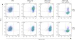 CD3 Antibody in Flow Cytometry (Flow)