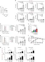 CD4 Antibody in Flow Cytometry (Flow)