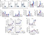 CD62L (L-Selectin) Antibody in Flow Cytometry (Flow)