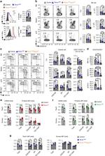 CD27 Antibody in Flow Cytometry (Flow)