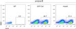 TER-119 Antibody in Flow Cytometry (Flow)