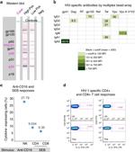 CD16 Antibody in Functional Assay, T-Cell Activation (Functional, TCA)