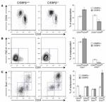 CD140a (PDGFRA) Antibody in Flow Cytometry (Flow)