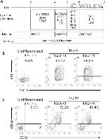 CD43 Antibody in Flow Cytometry (Flow)