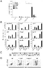 CD41a Antibody in Flow Cytometry (Flow)