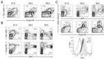 CD41a Antibody in Flow Cytometry (Flow)