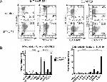 CD49f (Integrin alpha 6) Antibody in Flow Cytometry (Flow)