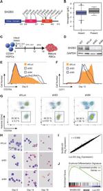 CD235a (Glycophorin A) Antibody in Flow Cytometry (Flow)