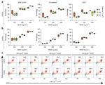 CD144 (VE-cadherin) Antibody in Flow Cytometry (Flow)