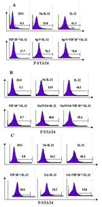 Phospho-STAT4 (Tyr693) Antibody in Flow Cytometry (Flow)