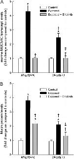 MUC5AC Antibody in ELISA (ELISA)