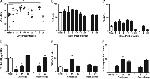 Granzyme B Antibody in Flow Cytometry (Flow)