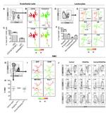 CD90 Antibody in Flow Cytometry (Flow)