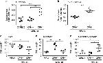 CD3 Antibody in Flow Cytometry (Flow)