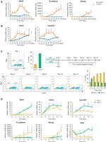 CD90.2 (Thy-1.2) Antibody in Flow Cytometry (Flow)