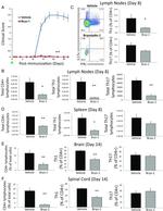 IL-17A Antibody in Flow Cytometry (Flow)