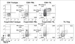 CD4 Antibody in Flow Cytometry (Flow)